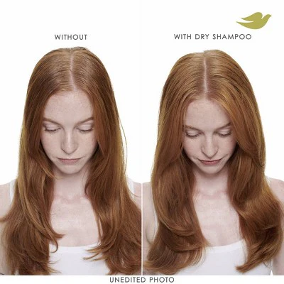 Dove Beauty Refresh + Care Volume & Fullness Dry Shampoo 7.3oz - Imperfect Container - Image 5