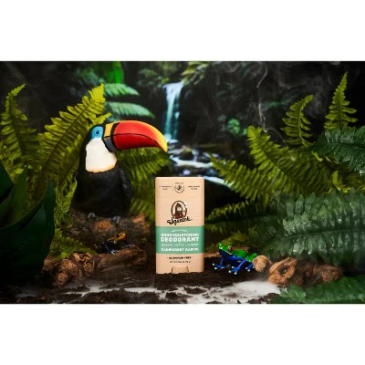 DR. SQUATCH Men's Natural Solid Deodorant Rainforest Rapids 2.65oz - New - Image 4