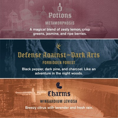 Every Man Jack Harry Potter Holiday Body Wash Gift Set 3ct - Imperfect Box - Image 3