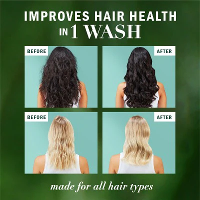 Herbal Essences Eucalyptus Sulfate Free Shampoo, For Dry Scalp 13.5 fl oz - Imperfect Container - Image 7