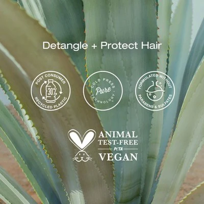 Raw Sugar Multi-Miracle Leave-in Heat Protectant & Conditioner Coconut Milk and Blue Agave 6 fl oz - Imperfect Container - Image 4