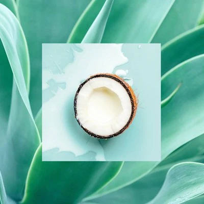 Raw Sugar Multi-Miracle Leave-in Heat Protectant & Conditioner Coconut Milk and Blue Agave 6 fl oz - Imperfect Container - Image 6